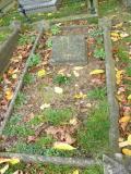 image of grave number 230742